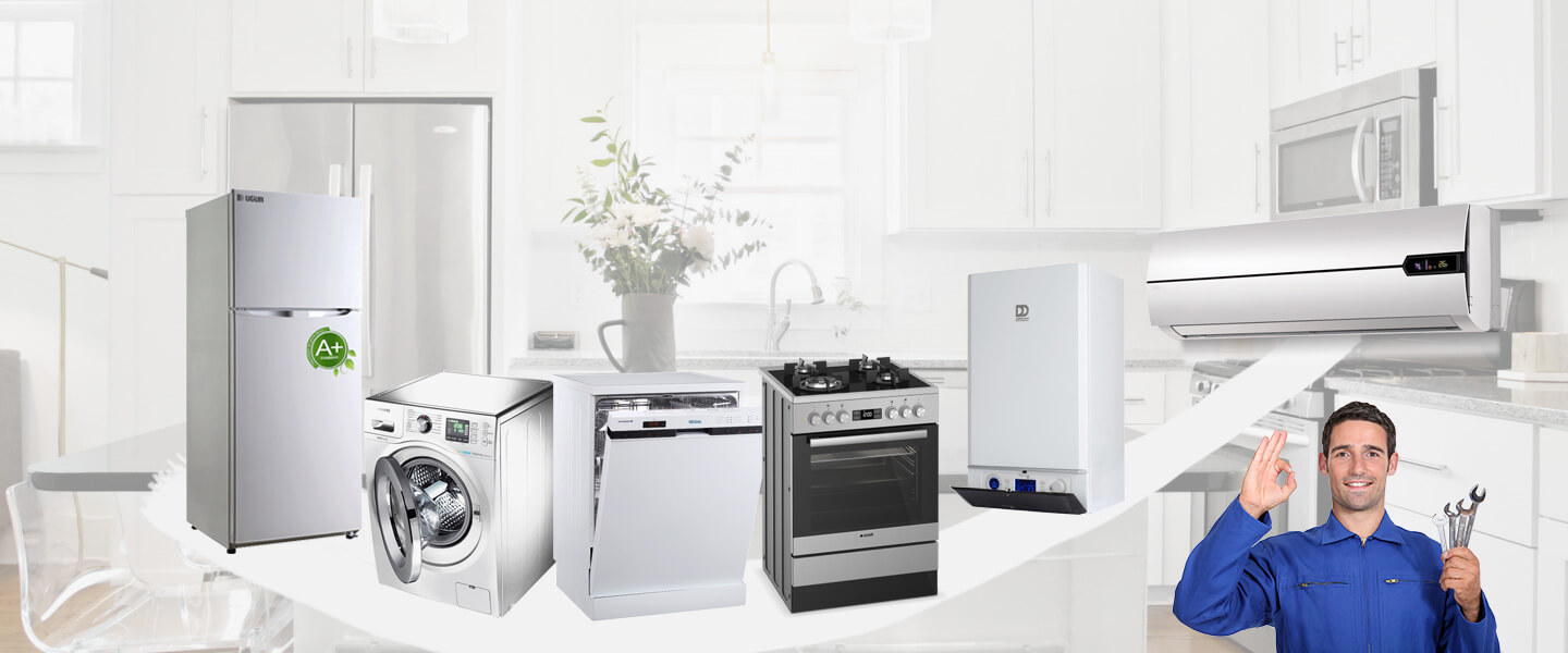 Hadim Smeg Servisi